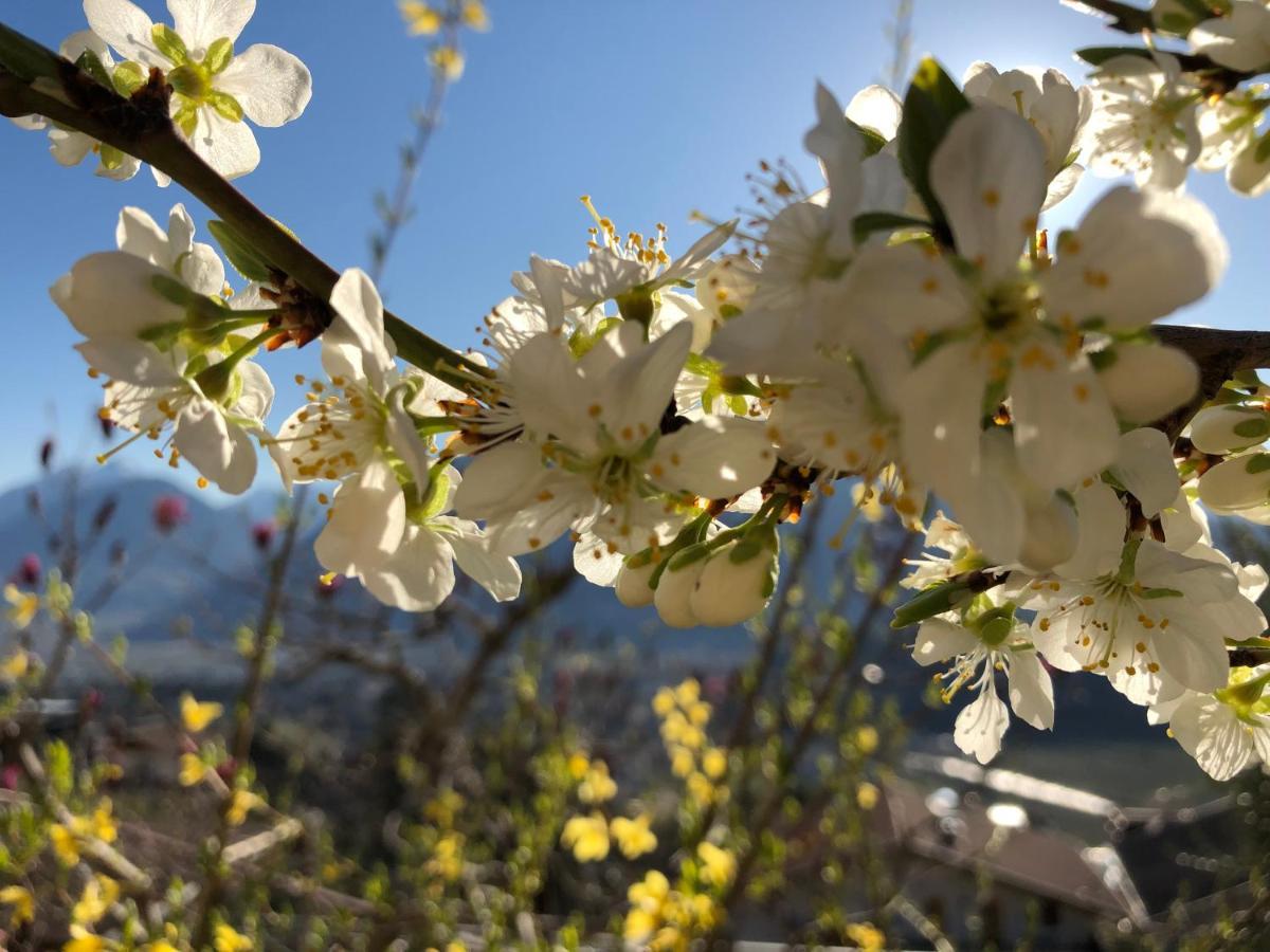 Garni Nunnemairhof Otel Schenna Dış mekan fotoğraf
